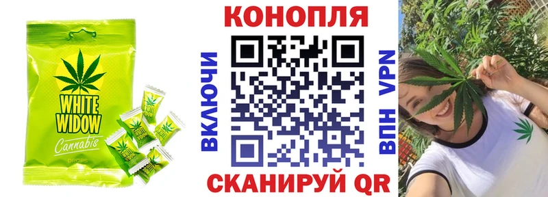 где купить наркотик  Кохма  Canna-Cookies конопля 