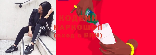 дживик Шарыпово