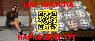 СК Краснодар