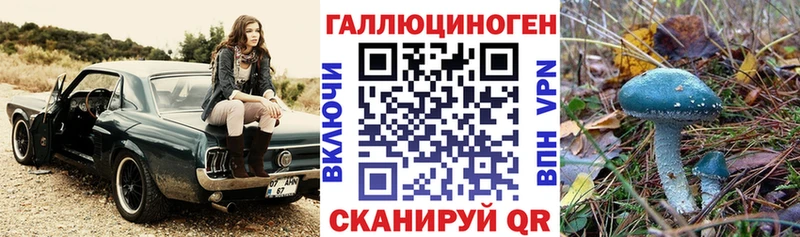Псилоцибиновые грибы мухоморы  Кохма 
