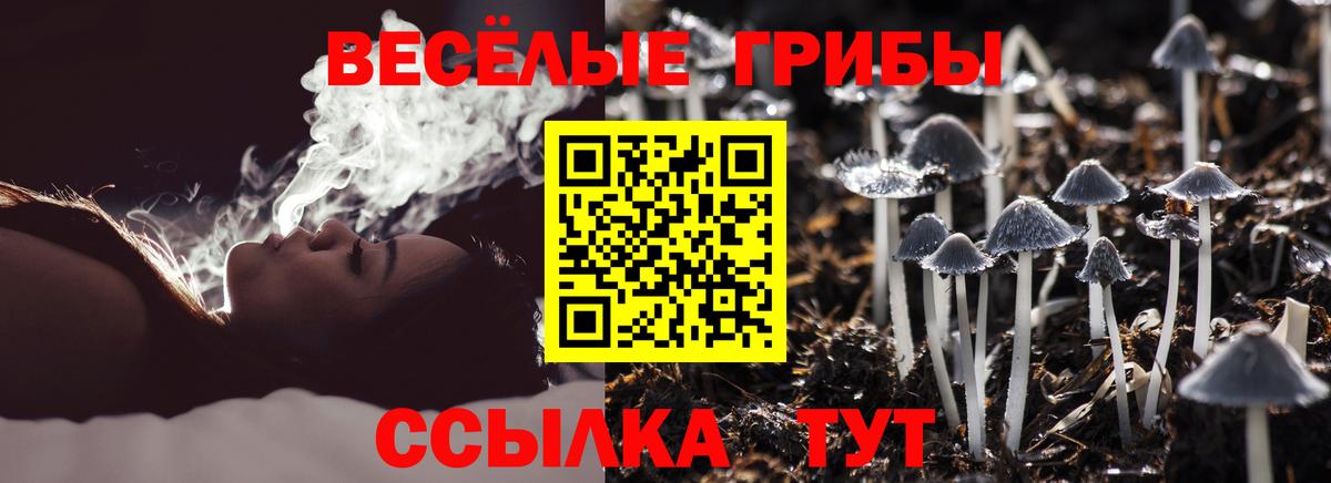 Галлюциногенные грибы Cubensis Кохма