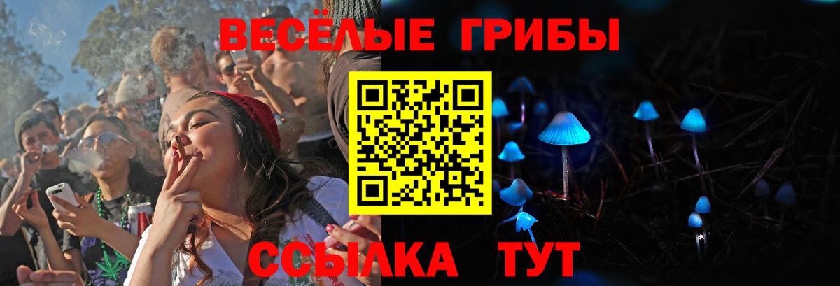 где купить   Вход с VPN  Кохма  Галлюциногенные грибы Magic Shrooms 